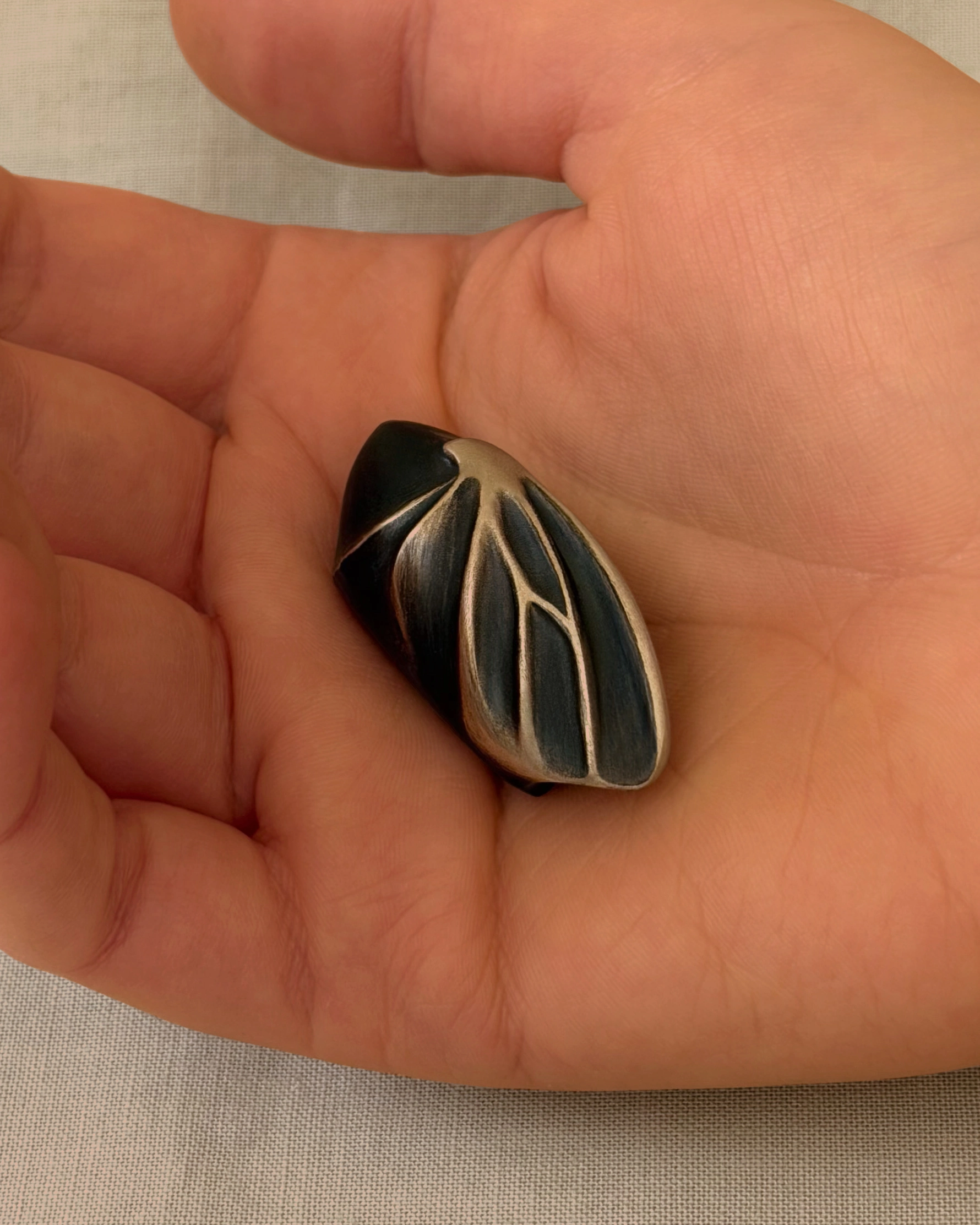 Chrysalis, held in the hand