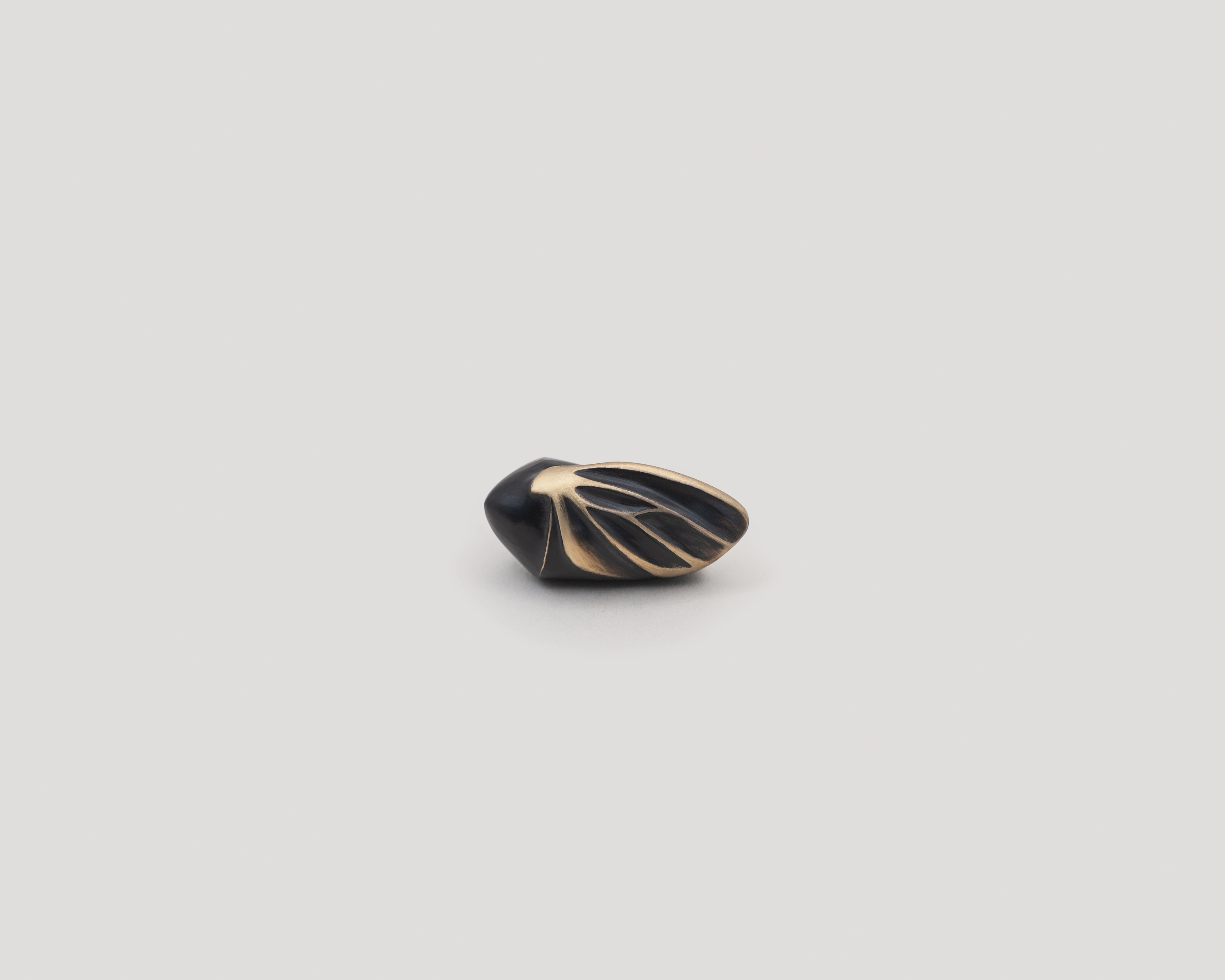 Chrysalis