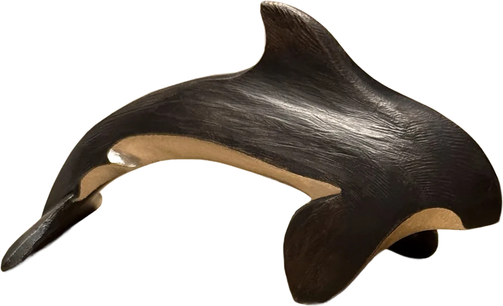 Orca